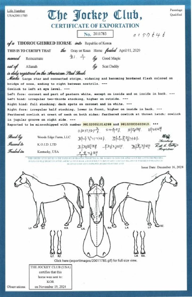 ¸®ÀÎÄ«³×ÀÌÆ®ÀÇ Ãø¸é,¿ì¸é,µÞ¸é,µÎ»ó,´Ù¸®ÀÇ Æ¯Â¡µµÇØ