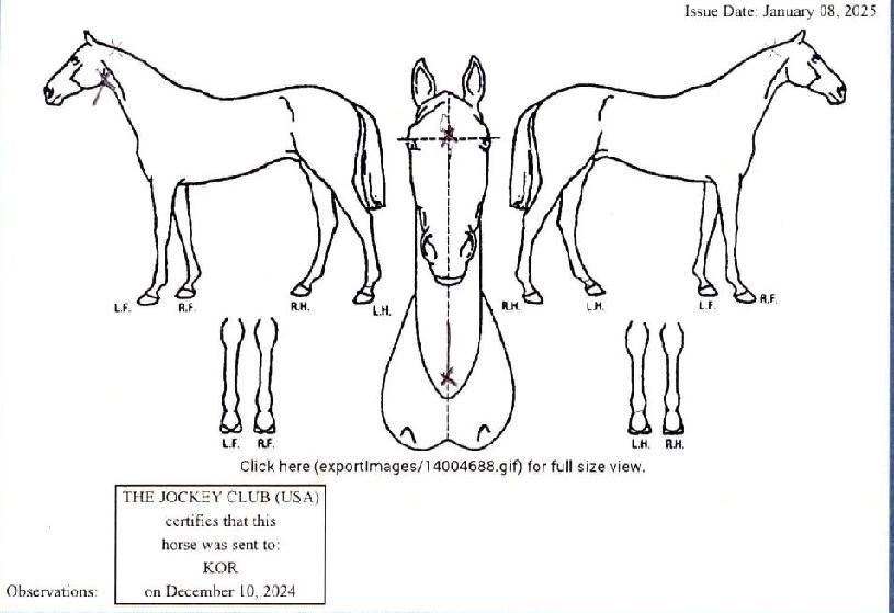 ŰīÀÇ Ãø¸é,¿ì¸é,µÞ¸é,µÎ»ó,´Ù¸®ÀÇ Æ¯Â¡µµÇØ