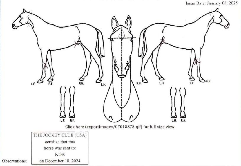 ���������븮���� ����,���,�޸�,�λ�,�ٸ��� Ư¡����