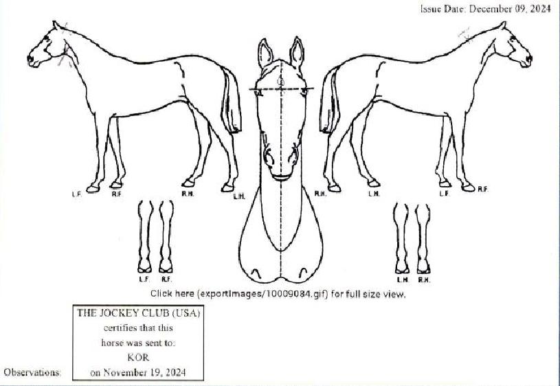 ƼÁî¿ùµé¸®ÀÇ Ãø¸é,¿ì¸é,µÞ¸é,µÎ»ó,´Ù¸®ÀÇ Æ¯Â¡µµÇØ