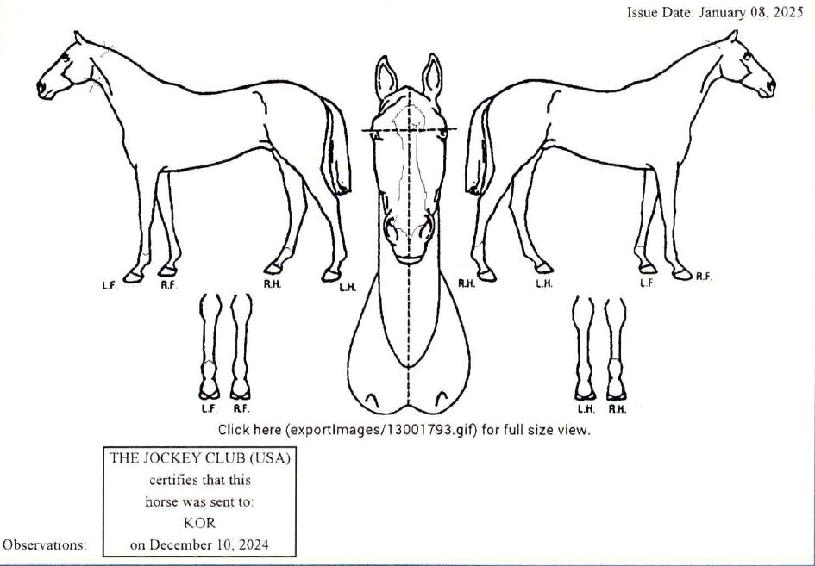 ���̶��½��� ����,���,�޸�,�λ�,�ٸ��� Ư¡����