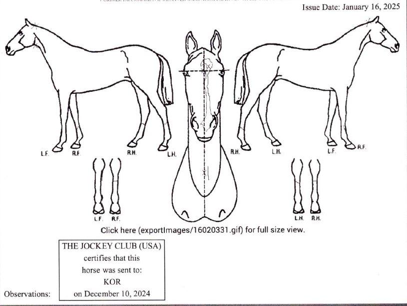 �̽������̵���� ����,���,�޸�,�λ�,�ٸ��� Ư¡����