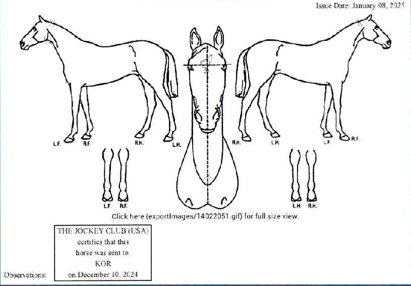 ÀÌÃ÷½Ç·¯Å¸ÀÓÀÇ Ãø¸é,¿ì¸é,µÞ¸é,µÎ»ó,´Ù¸®ÀÇ Æ¯Â¡µµÇØ