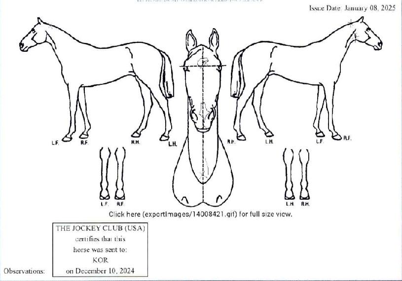 ������ ����,���,�޸�,�λ�,�ٸ��� Ư¡����