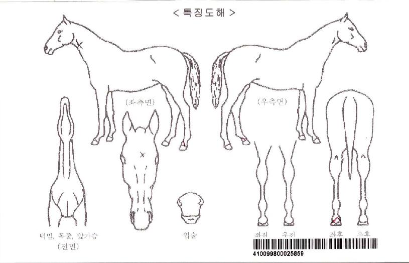 ����ι����ڸ��� ����,���,�޸�,�λ�,�ٸ��� Ư¡����