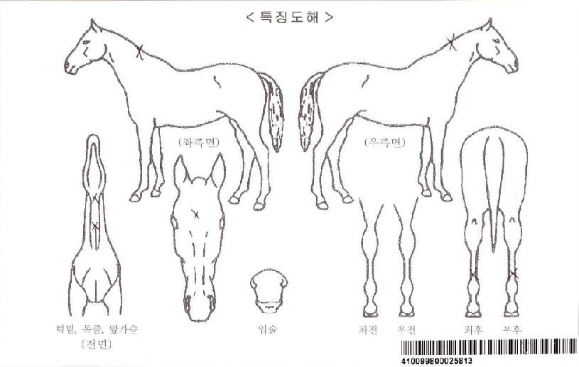 ������ŵ�� ����,���,�޸�,�λ�,�ٸ��� Ư¡����