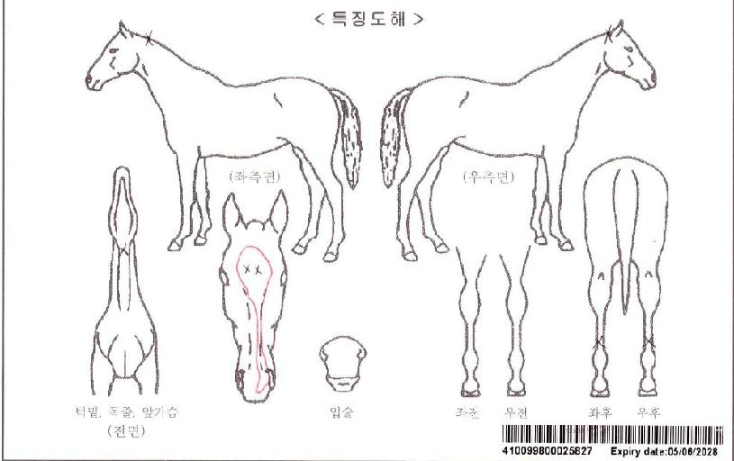 ���Ÿ��� ����,���,�޸�,�λ�,�ٸ��� Ư¡����