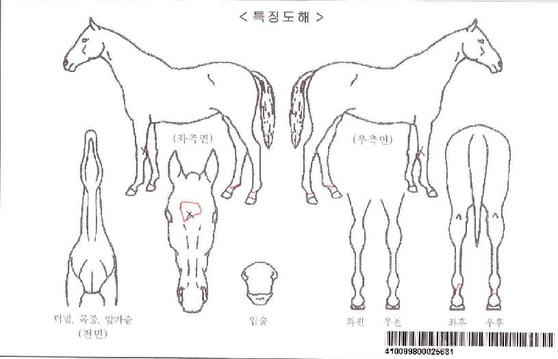 ������ī���� ����,���,�޸�,�λ�,�ٸ��� Ư¡����