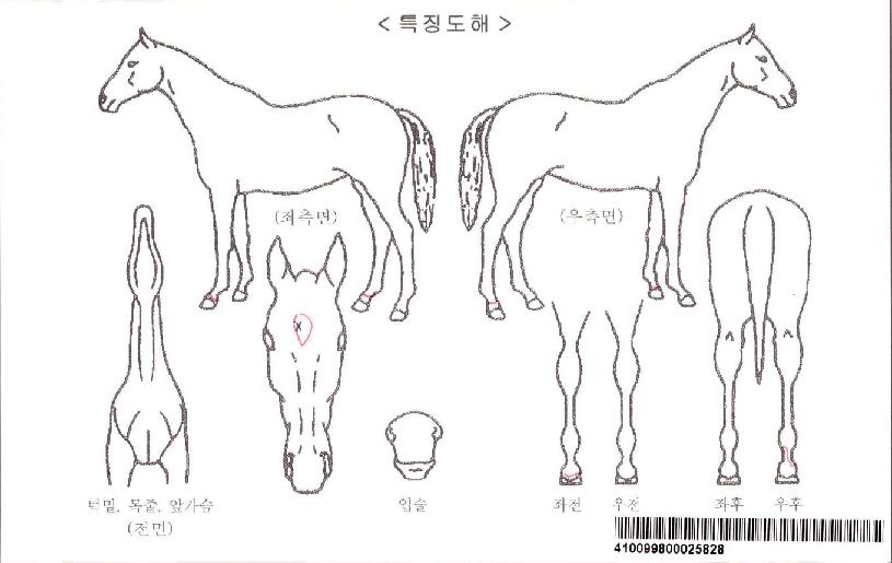 ���Ͻ������ڸ��� ����,���,�޸�,�λ�,�ٸ��� Ư¡����