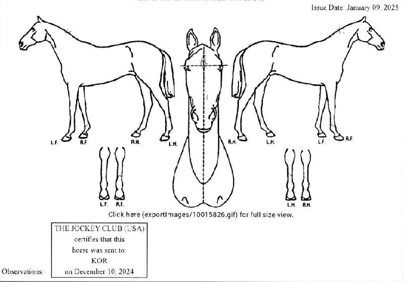 ȣ�������� ����,���,�޸�,�λ�,�ٸ��� Ư¡����