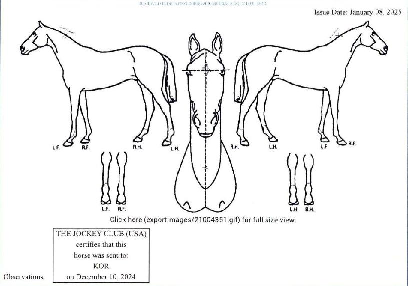 ������ġ�� ����,���,�޸�,�λ�,�ٸ��� Ư¡����