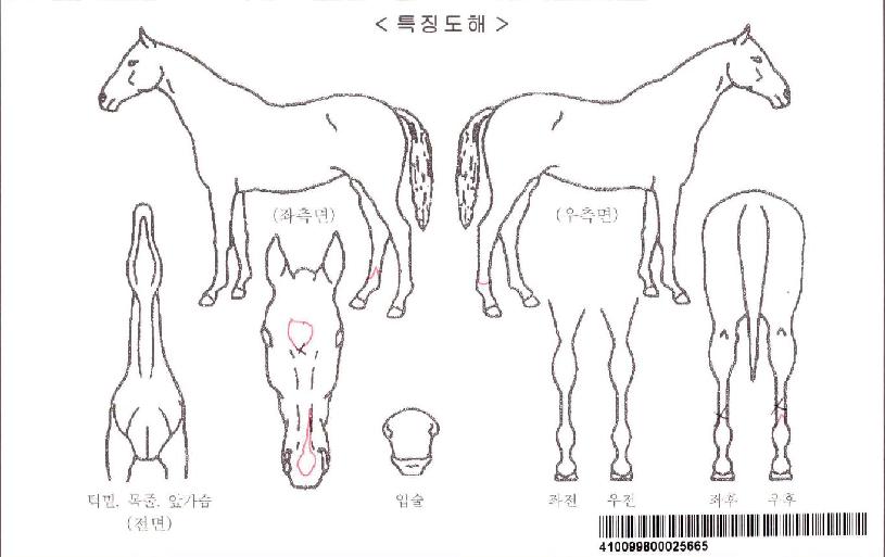 ����Ǯ�������ڸ��� ����,���,�޸�,�λ�,�ٸ��� Ư¡����