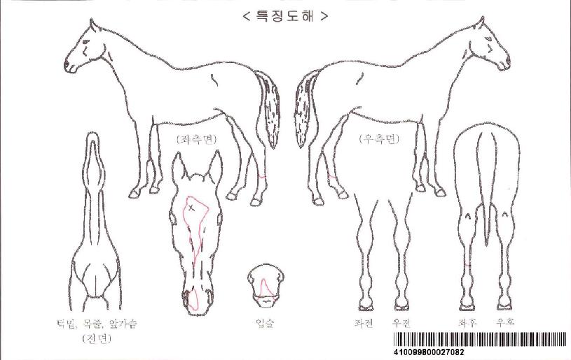 ������ġ�ڸ��� ����,���,�޸�,�λ�,�ٸ��� Ư¡����