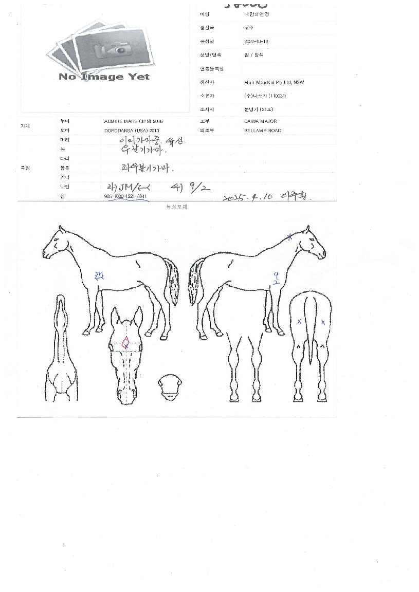 ³»¸¾ÀÇ¿Á¤ÀÇ Ãø¸é,¿ì¸é,µÞ¸é,µÎ»ó,´Ù¸®ÀÇ Æ¯Â¡µµÇØ