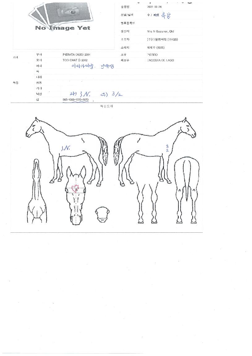 �õ�Ͽ����� ����,���,�޸�,�λ�,�ٸ��� Ư¡����