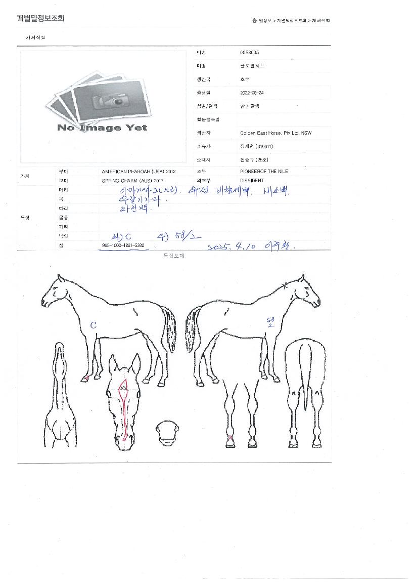 ±Û·Î¹úÇÏÆ®ÀÇ Ãø¸é,¿ì¸é,µÞ¸é,µÎ»ó,´Ù¸®ÀÇ Æ¯Â¡µµÇØ