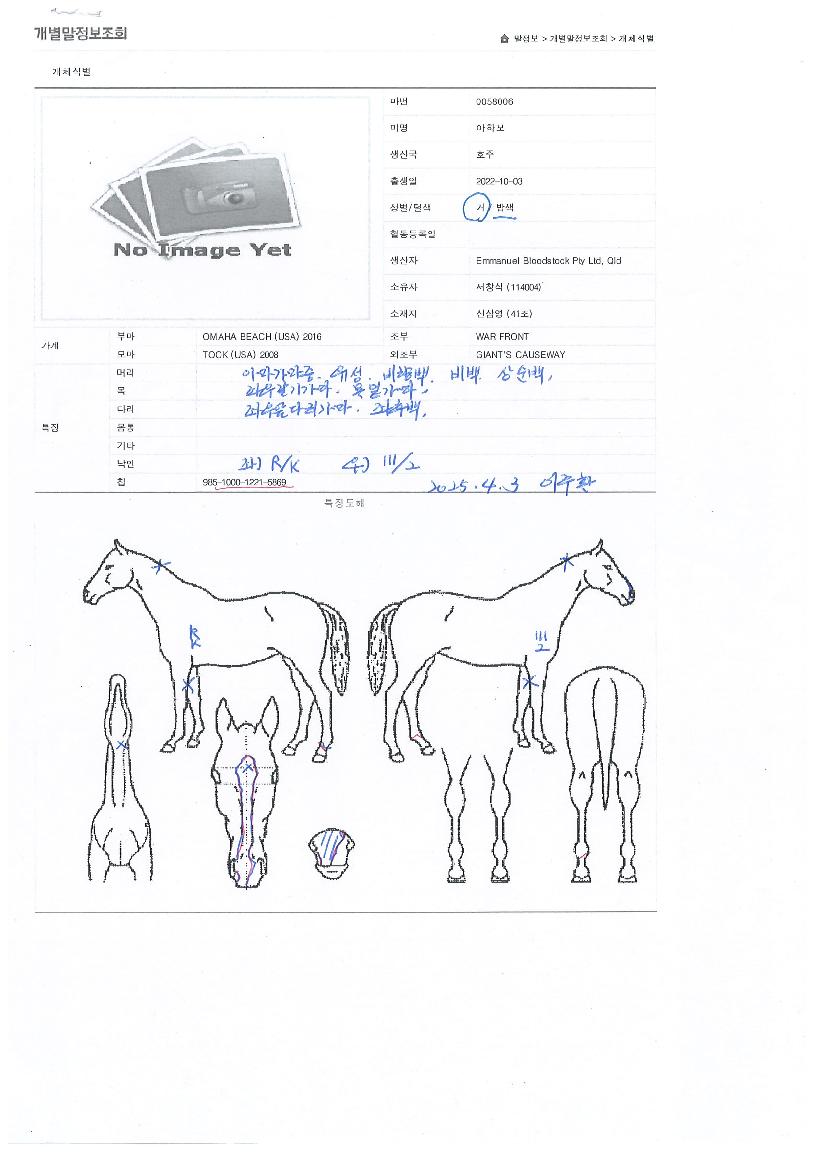 Å©·¹ÀÌÁö½ºÅ¸ÀÇ Ãø¸é,¿ì¸é,µÞ¸é,µÎ»ó,´Ù¸®ÀÇ Æ¯Â¡µµÇØ