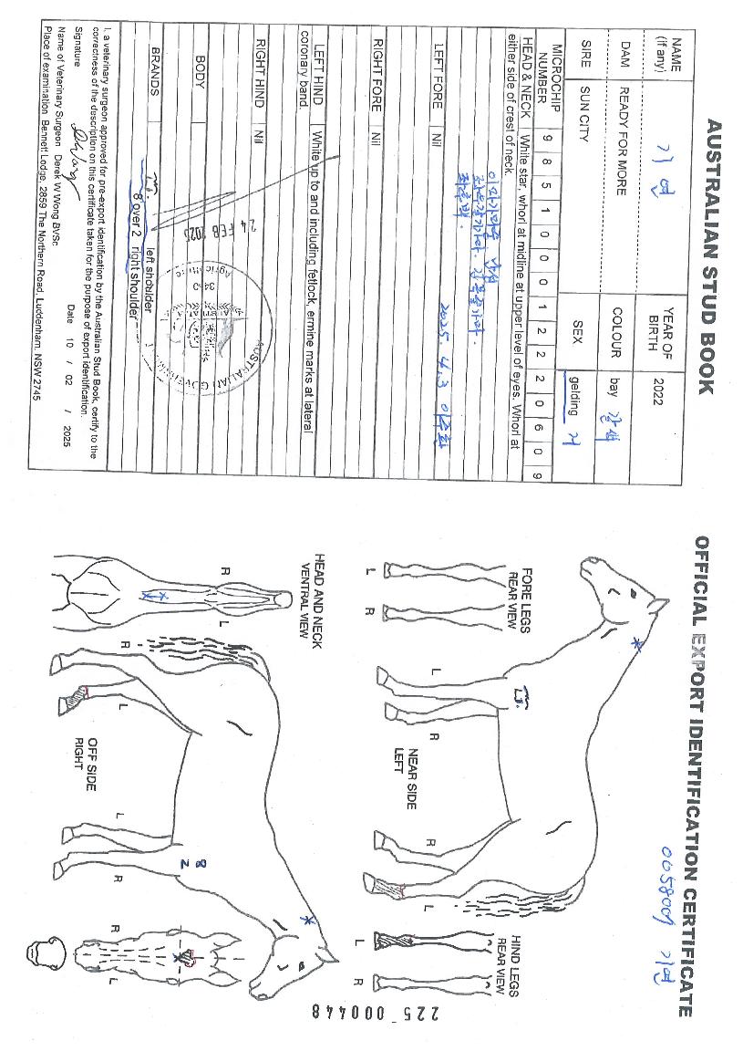 �⿬�� ����,���,�޸�,�λ�,�ٸ��� Ư¡����