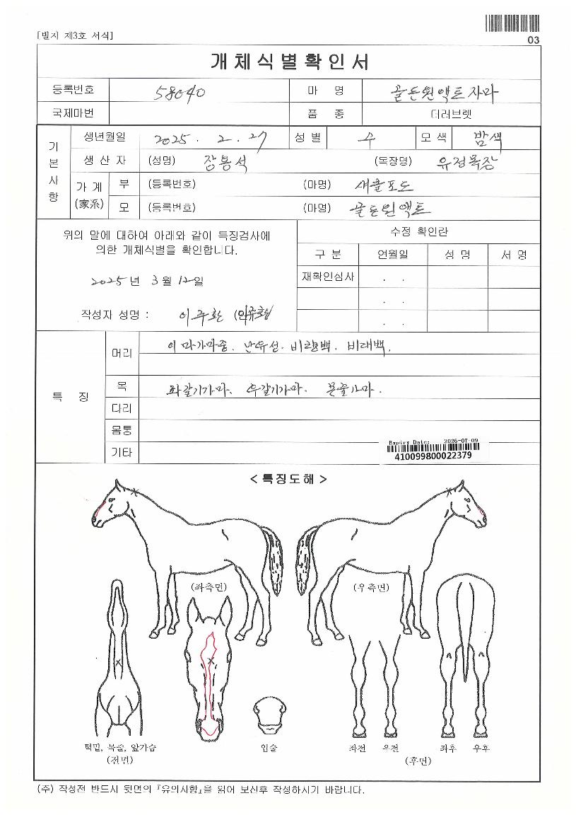 °ñµç¿ø¾×Æ®ÀÚ¸¶ÀÇ Ãø¸é,¿ì¸é,µÞ¸é,µÎ»ó,´Ù¸®ÀÇ Æ¯Â¡µµÇØ