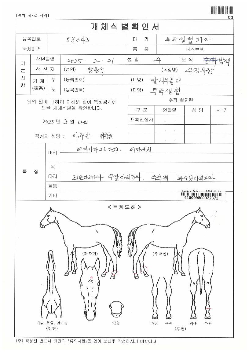 ���������ڸ��� ����,���,�޸�,�λ�,�ٸ��� Ư¡����