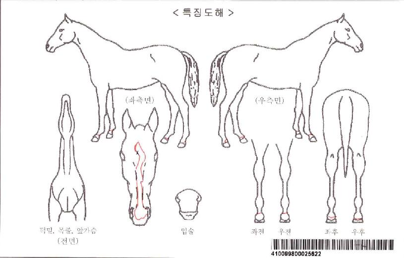 �̽����ڸ��� ����,���,�޸�,�λ�,�ٸ��� Ư¡����