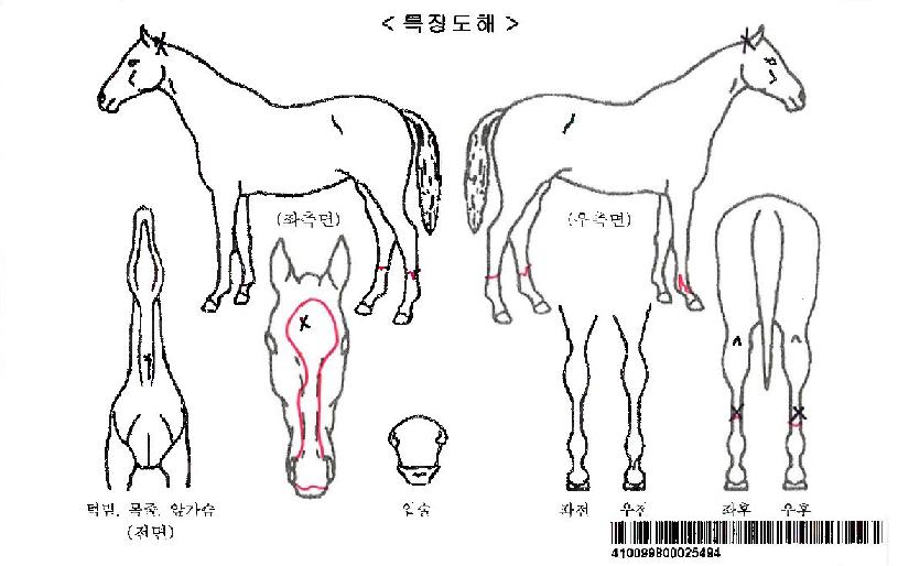 ������ڸ��� ����,���,�޸�,�λ�,�ٸ��� Ư¡����