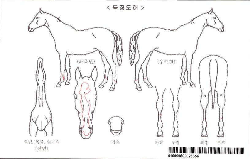 ����Ʈ�α׶��ڸ��� ����,���,�޸�,�λ�,�ٸ��� Ư¡����