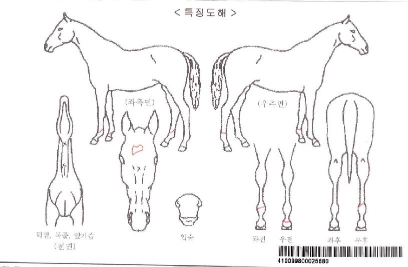 ÇÁ·¹À̽ÌÀεð¾ðÀÚ¸¶ÀÇ Ãø¸é,¿ì¸é,µÞ¸é,µÎ»ó,´Ù¸®ÀÇ Æ¯Â¡µµÇØ