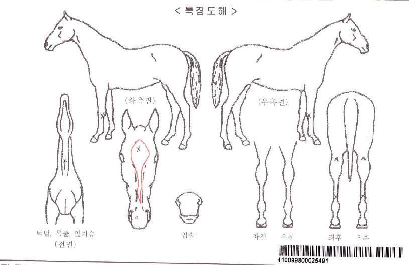 ��������ڸ��� ����,���,�޸�,�λ�,�ٸ��� Ư¡����