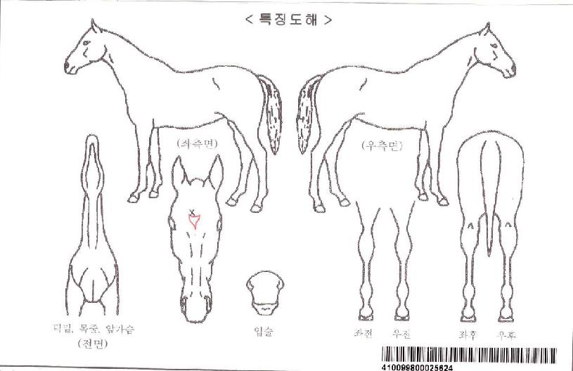 ¼±´õ¸¶Å©ÀÚ¸¶ÀÇ Ãø¸é,¿ì¸é,µÞ¸é,µÎ»ó,´Ù¸®ÀÇ Æ¯Â¡µµÇØ