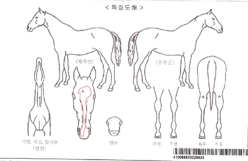 �ż������ڸ��� ����,���,�޸�,�λ�,�ٸ��� Ư¡����