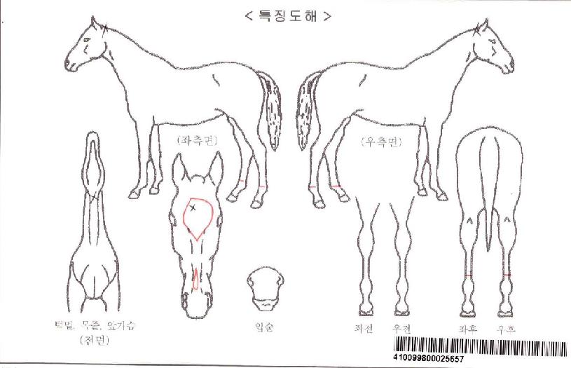 ���������ڸ��� ����,���,�޸�,�λ�,�ٸ��� Ư¡����