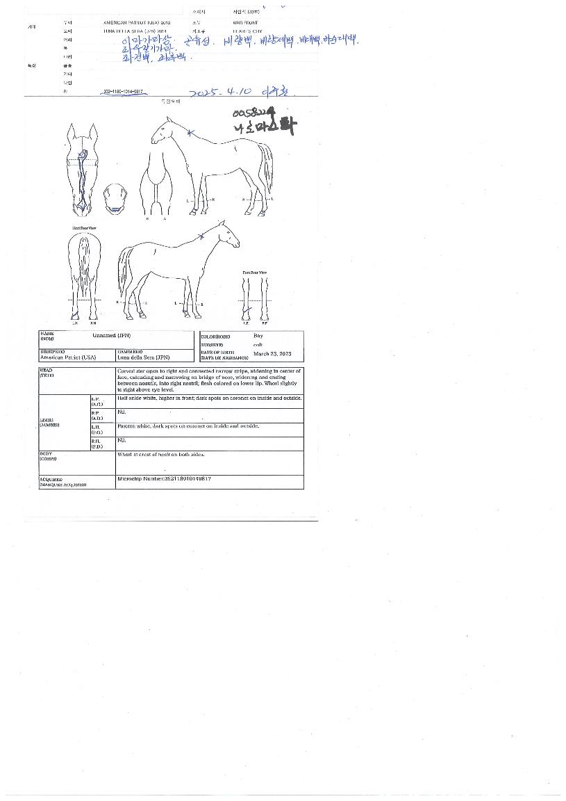 ���θ���Ÿ�� ����,���,�޸�,�λ�,�ٸ��� Ư¡����