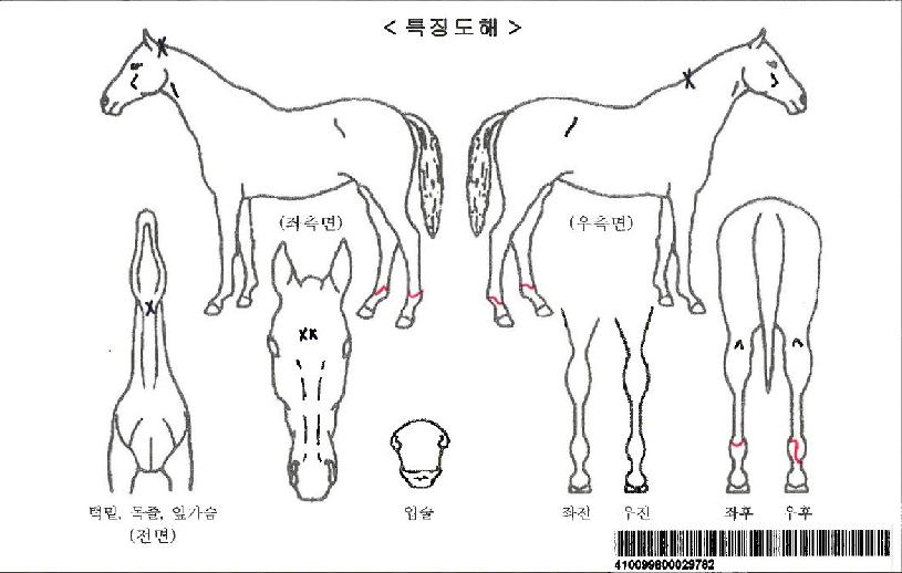 ��ħ����ڸ��� ����,���,�޸�,�λ�,�ٸ��� Ư¡����