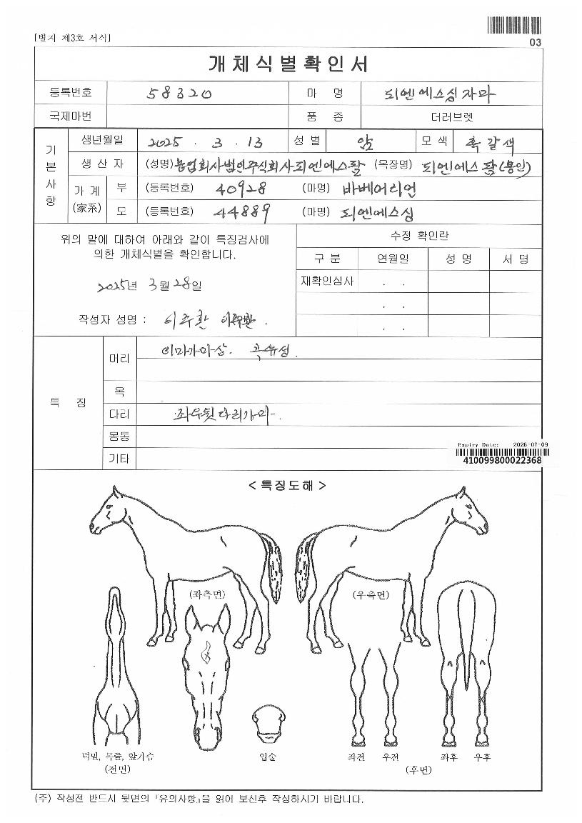 ÇÇ¿£¿¡½º½ÌÀÚ¸¶ÀÇ Ãø¸é,¿ì¸é,µÞ¸é,µÎ»ó,´Ù¸®ÀÇ Æ¯Â¡µµÇØ