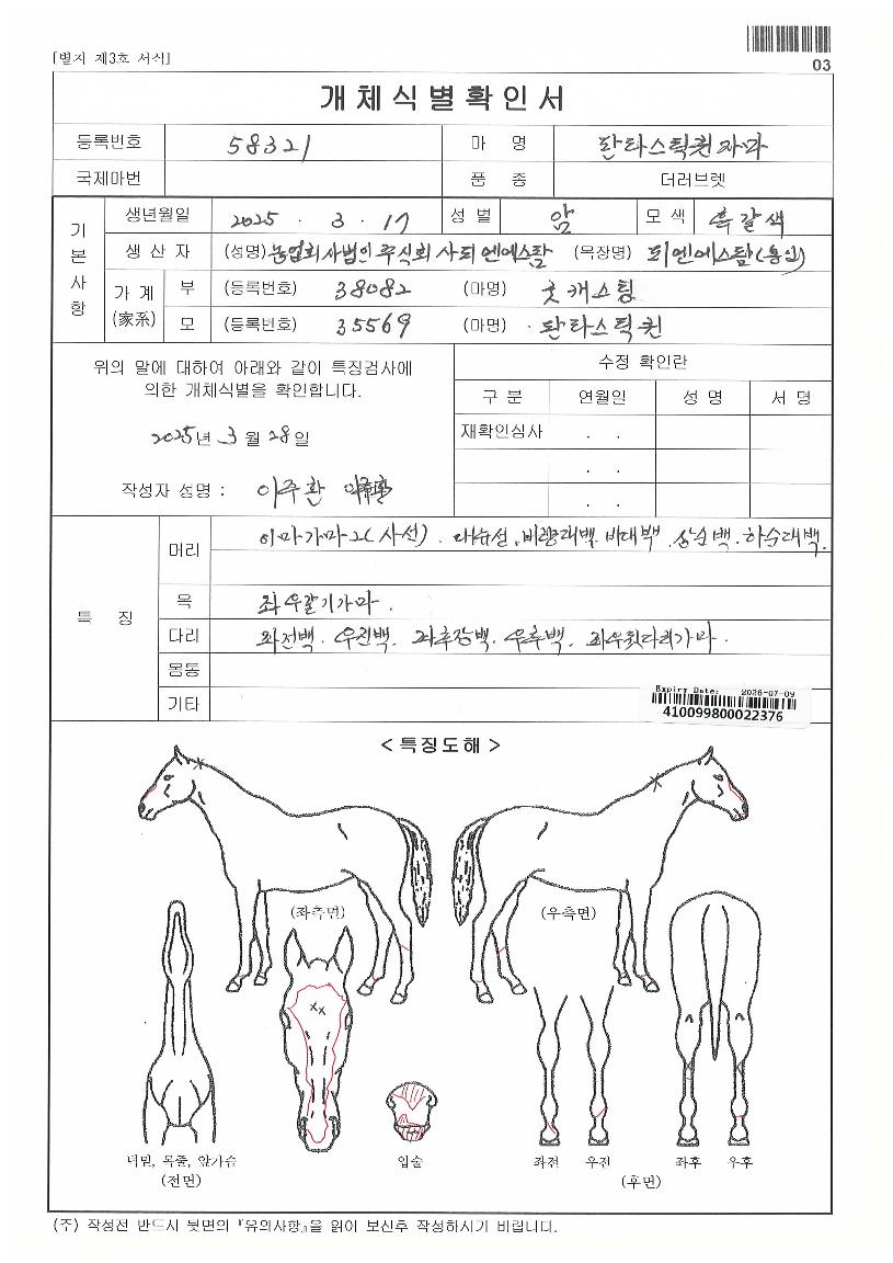 ÆÇŸ½ºÆ½ÄýÀÚ¸¶ÀÇ Ãø¸é,¿ì¸é,µÞ¸é,µÎ»ó,´Ù¸®ÀÇ Æ¯Â¡µµÇØ