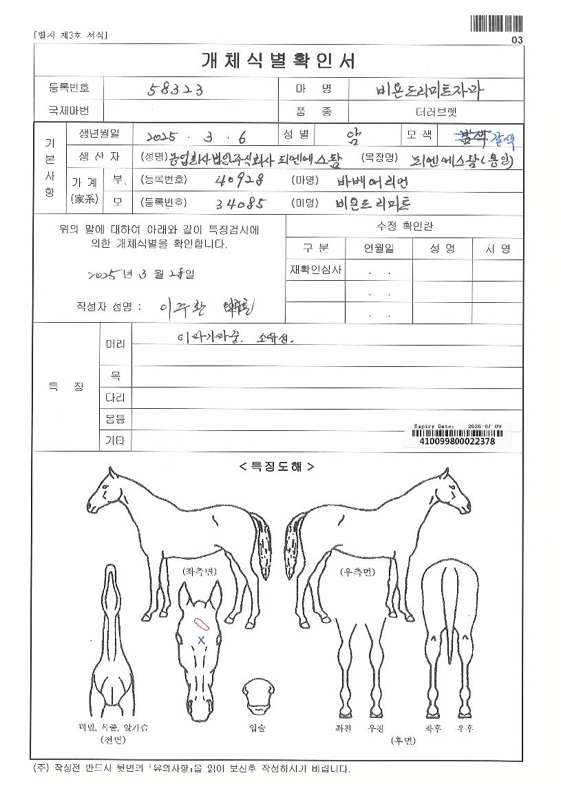 ºñ¿æµå¸®¹ÌÆ®ÀÚ¸¶ÀÇ Ãø¸é,¿ì¸é,µÞ¸é,µÎ»ó,´Ù¸®ÀÇ Æ¯Â¡µµÇØ