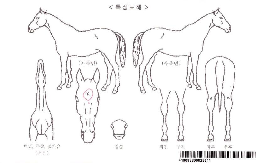 ���ǵ������ڸ��� ����,���,�޸�,�λ�,�ٸ��� Ư¡����