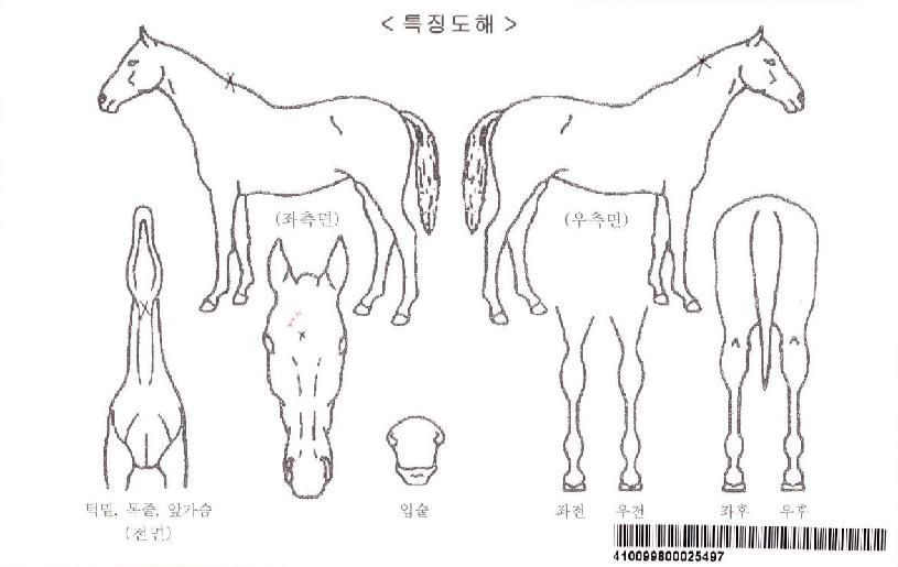 �����ϸ޸��ڸ��� ����,���,�޸�,�λ�,�ٸ��� Ư¡����