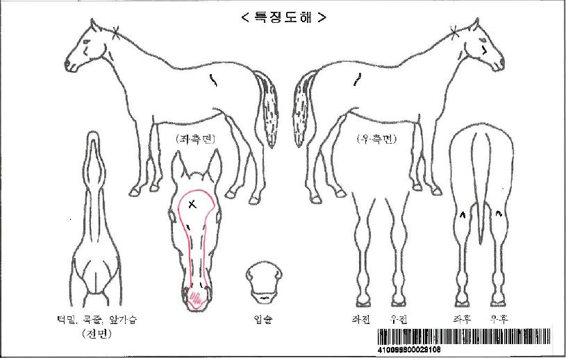 �ø������ڸ��� ����,���,�޸�,�λ�,�ٸ��� Ư¡����