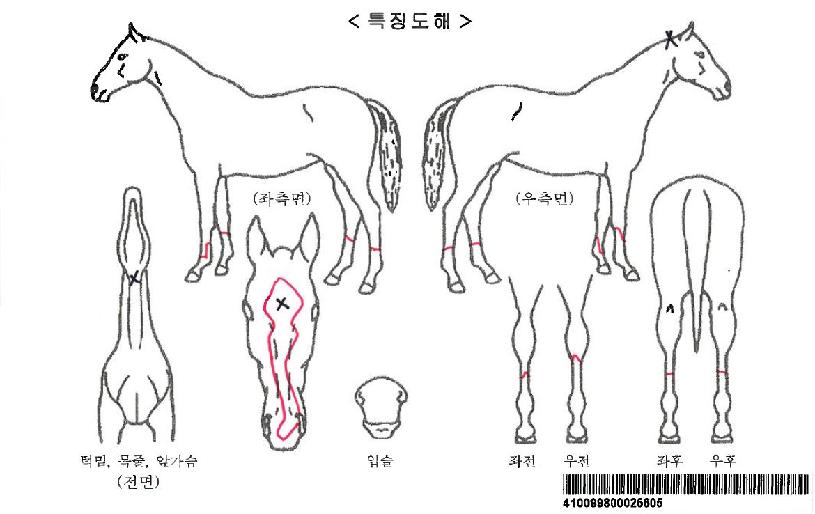 �����̰����ڸ��� ����,���,�޸�,�λ�,�ٸ��� Ư¡����