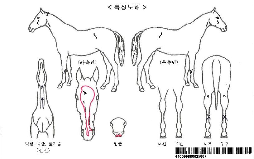 ������Ű���ڸ��� ����,���,�޸�,�λ�,�ٸ��� Ư¡����