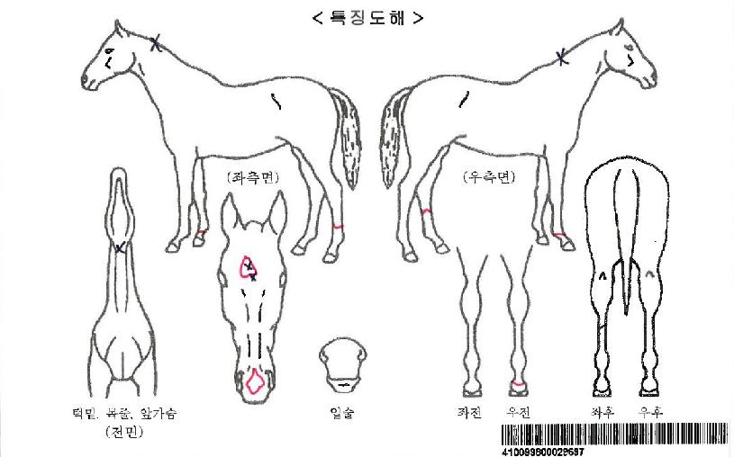 ��Ű�ѹ����ڸ��� ����,���,�޸�,�λ�,�ٸ��� Ư¡����