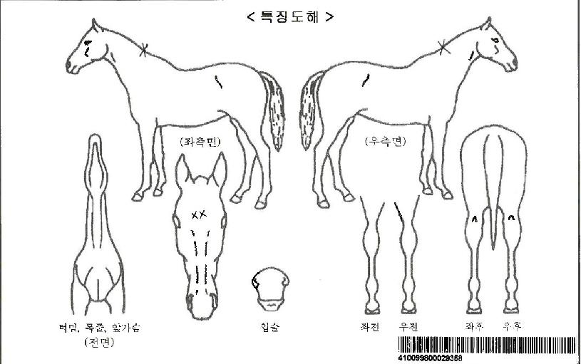 ���ǸӴ��ڸ��� ����,���,�޸�,�λ�,�ٸ��� Ư¡����