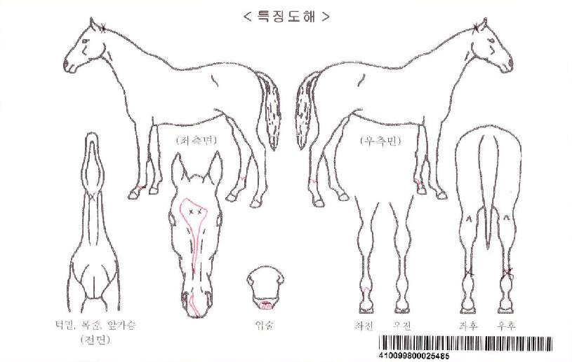 �Ŀ����̽��ڸ��� ����,���,�޸�,�λ�,�ٸ��� Ư¡����