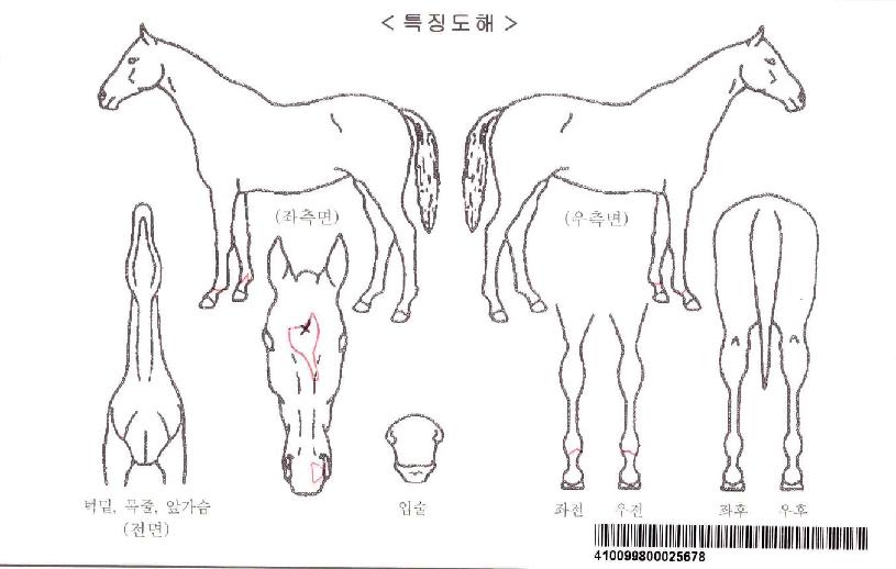 ��ũ�����ڸ��� ����,���,�޸�,�λ�,�ٸ��� Ư¡����