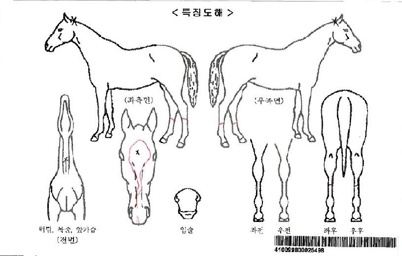 ¿ÃÄâÀÌ¾îÆ®ÀÚ¸¶ÀÇ Ãø¸é,¿ì¸é,µÞ¸é,µÎ»ó,´Ù¸®ÀÇ Æ¯Â¡µµÇØ