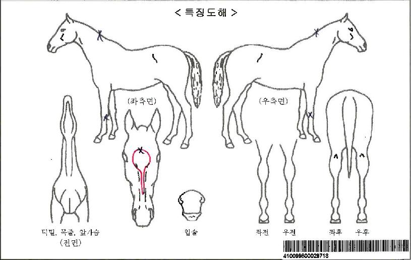 �÷��͸������ڸ��� ����,���,�޸�,�λ�,�ٸ��� Ư¡����