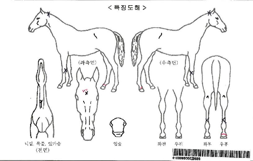 ������¡�ڸ��� ����,���,�޸�,�λ�,�ٸ��� Ư¡����