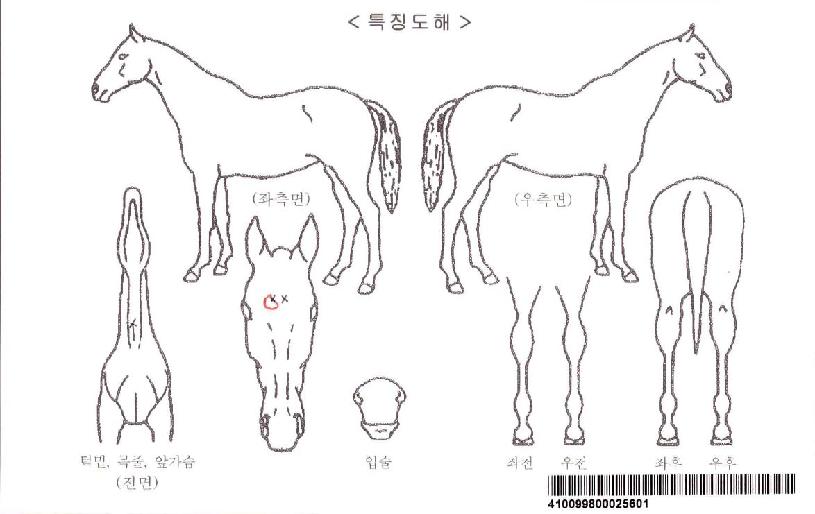 �����ڸ��� ����,���,�޸�,�λ�,�ٸ��� Ư¡����